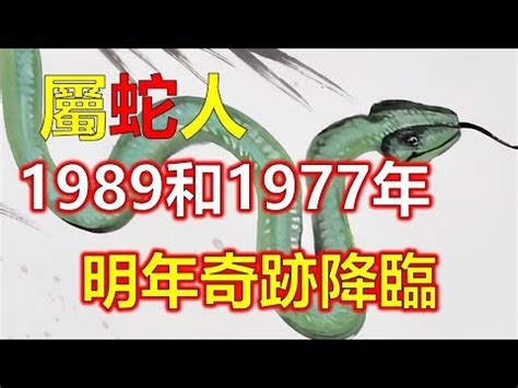 1989蛇五行